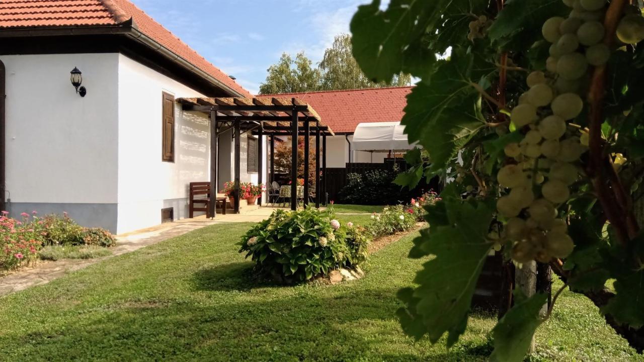 Pocitniska Hisa Kog Villa Bagian luar foto