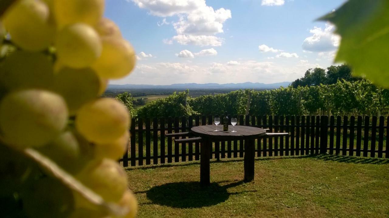 Pocitniska Hisa Kog Villa Bagian luar foto